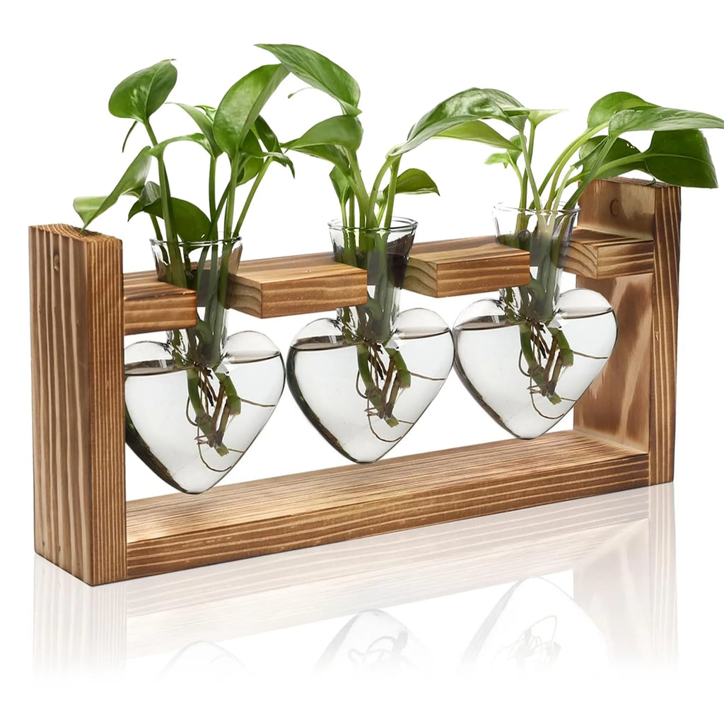 Plant Terrarium Propagation Station