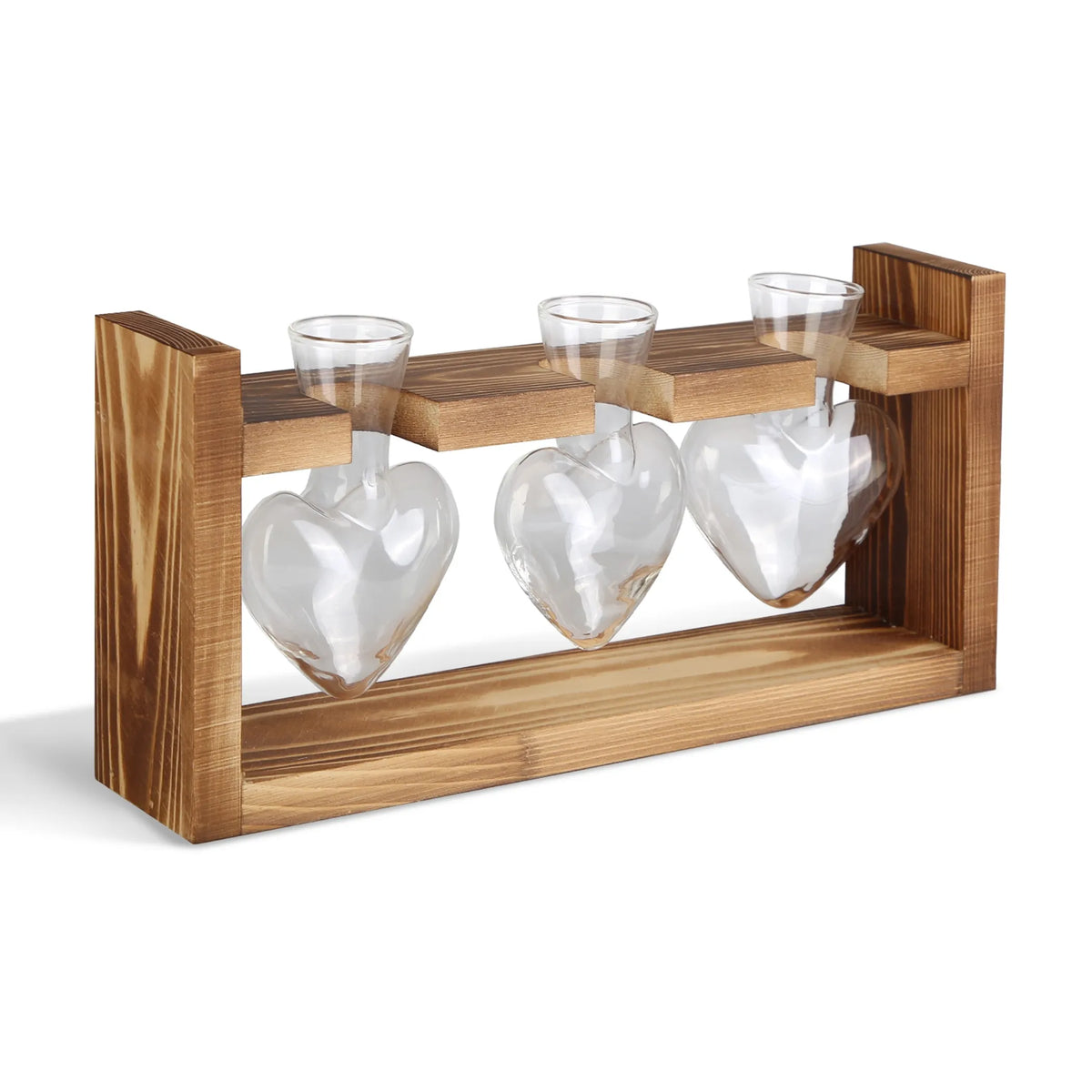 Plant Terrarium Propagation Station