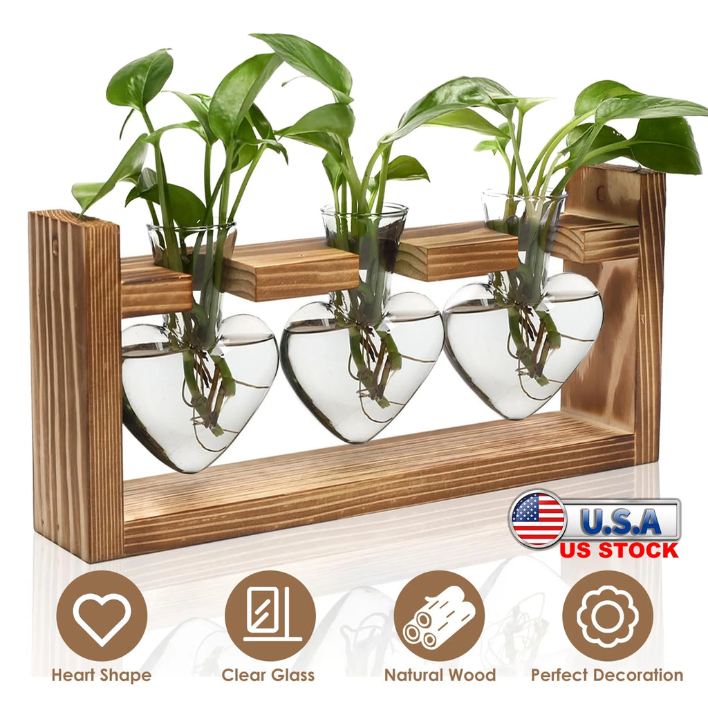 Plant Terrarium Propagation Station