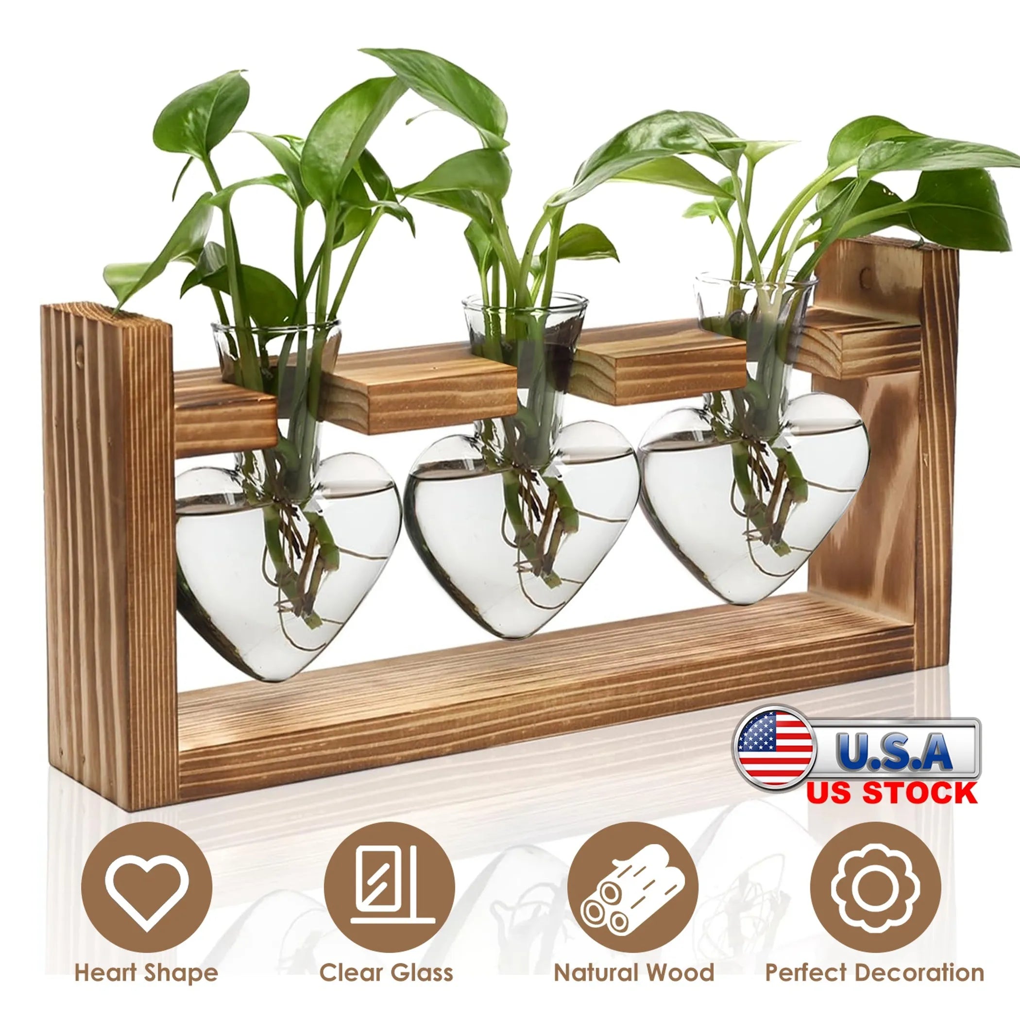 Plant Terrarium Propagation Station