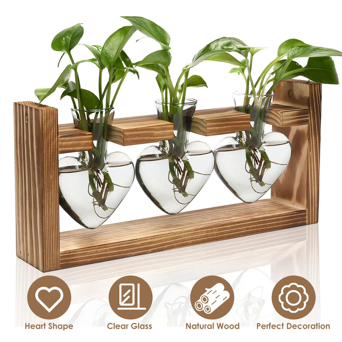 Plant Terrarium Propagation Station