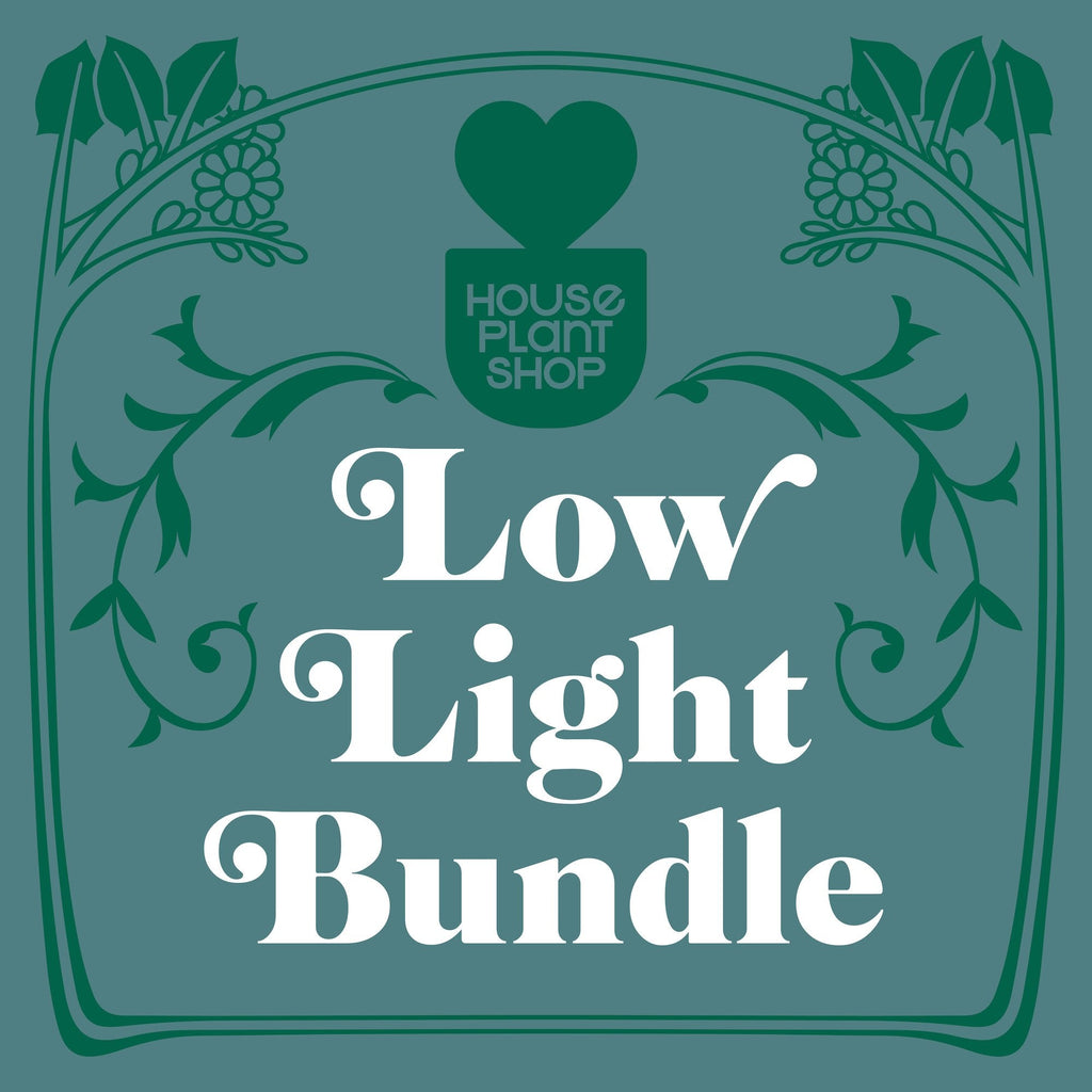 Low Light Bundle - Garden Gets