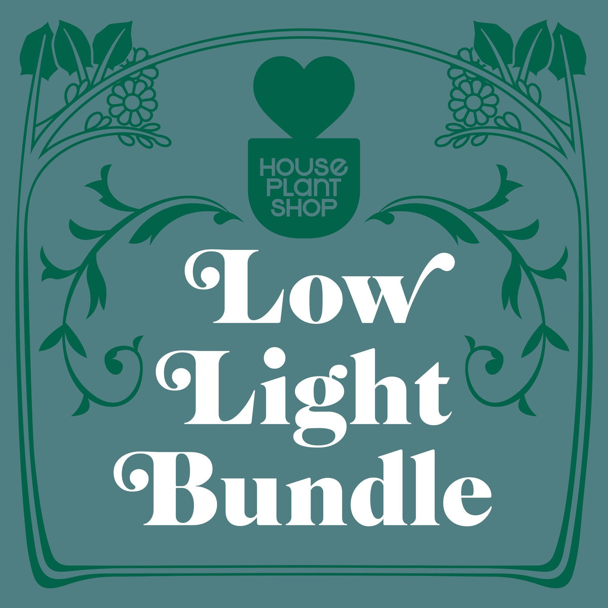 Low Light Bundle - Garden Gets