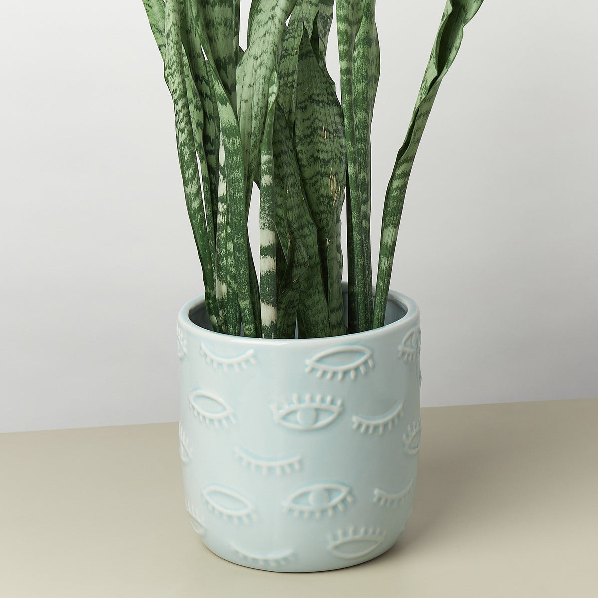 Eyes Pot - 7 Inch - Garden Gets