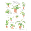Plant Species Poster - Garden Gets