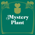 Mystery House Plant - 3" Pot - Garden Gets