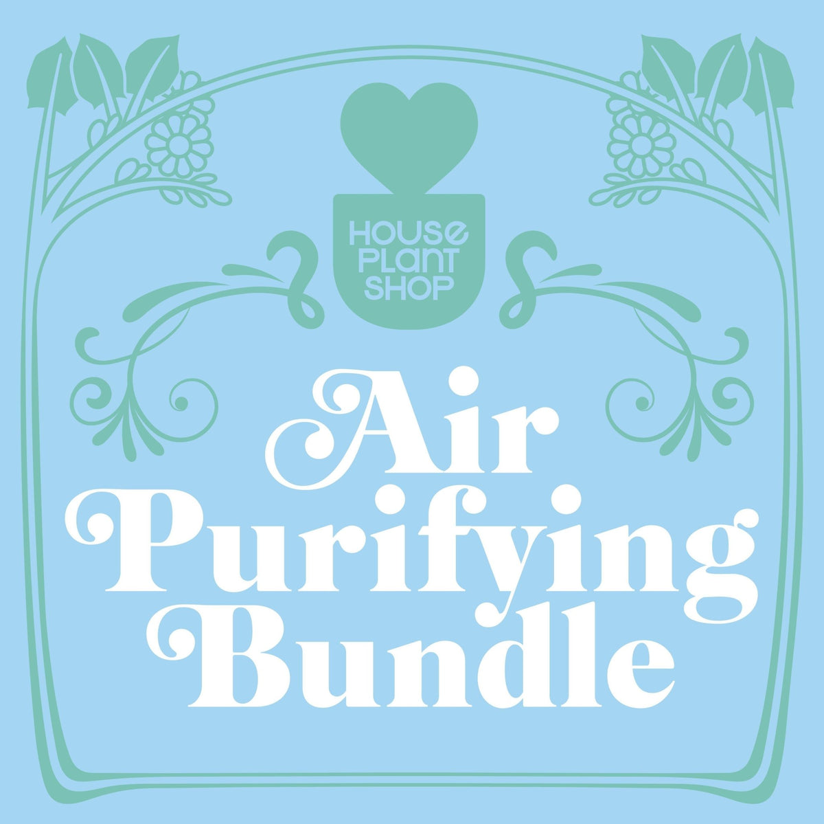 Air Purifying Variety Bundle - Garden Gets
