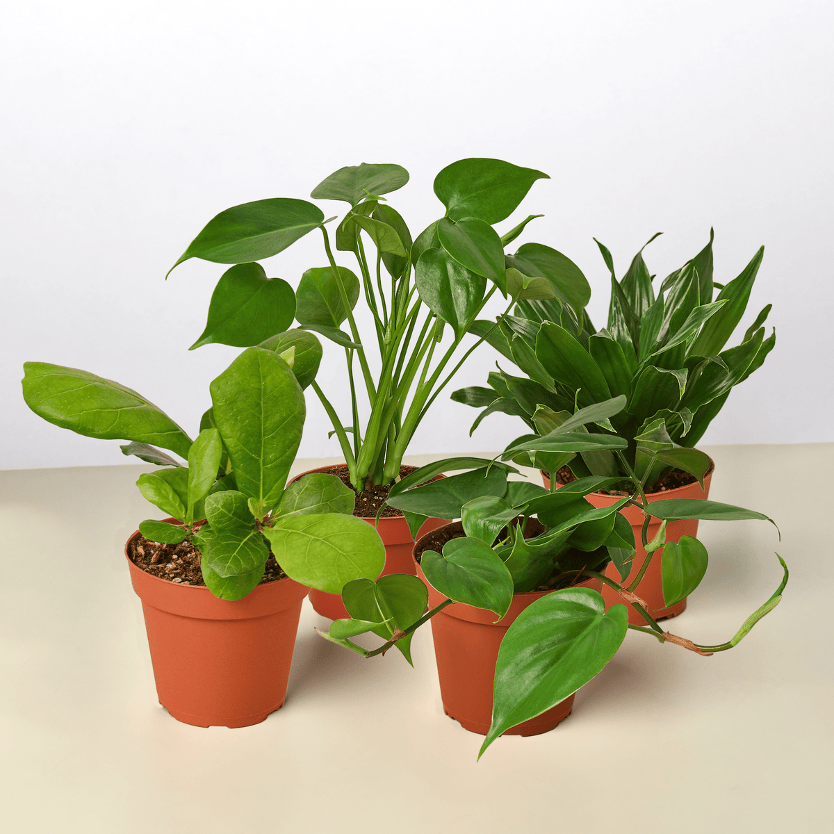 Best Selling Bundle - Garden Gets
