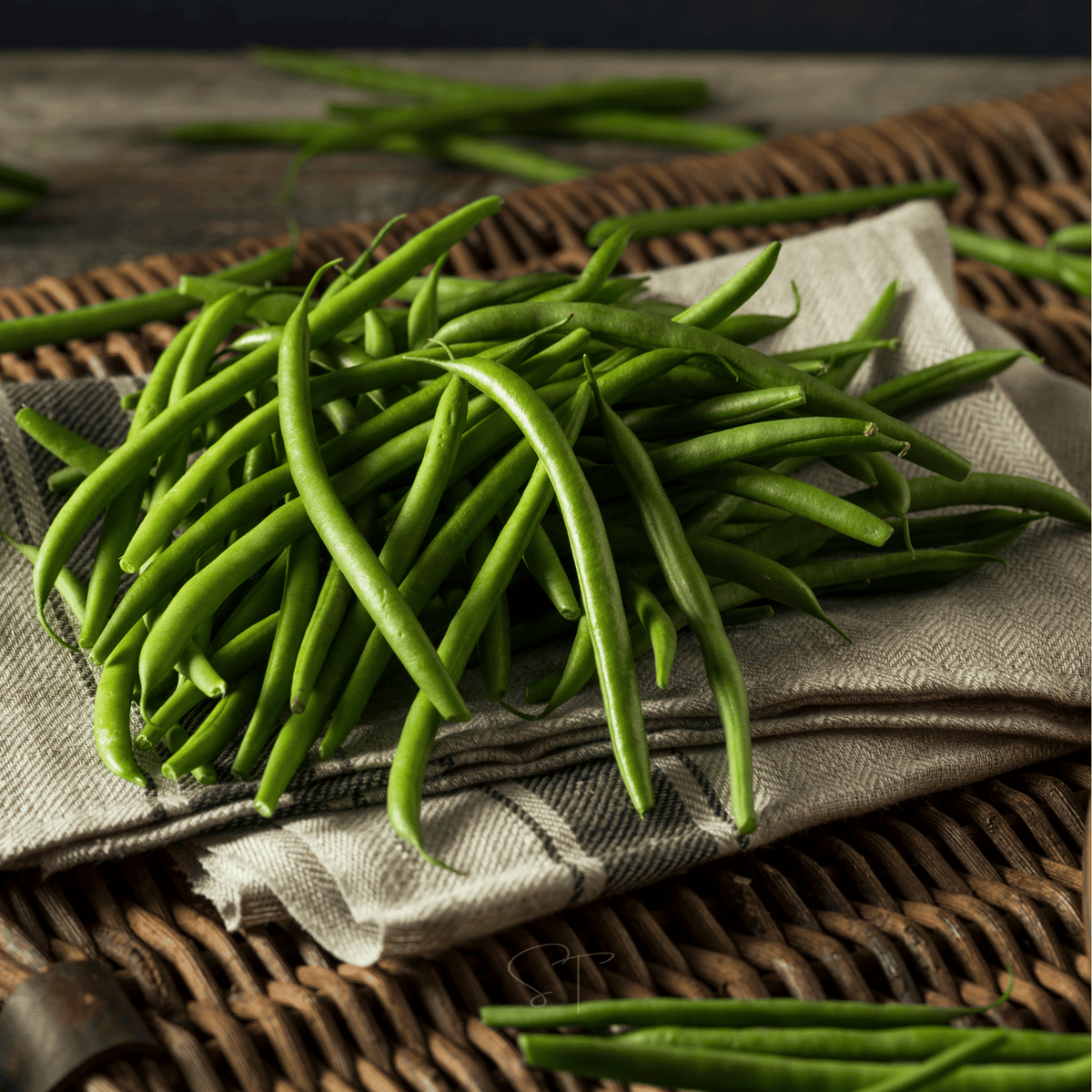 Blue Lake Bean (Pole) – 50 Seeds - Garden Gets
