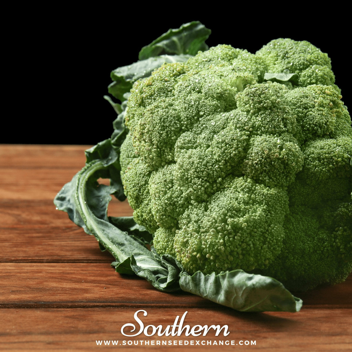 Calabrese Green Broccoli – 100 Seeds - Garden Gets