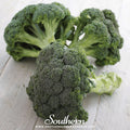 Calabrese Green Broccoli – 100 Seeds - Garden Gets