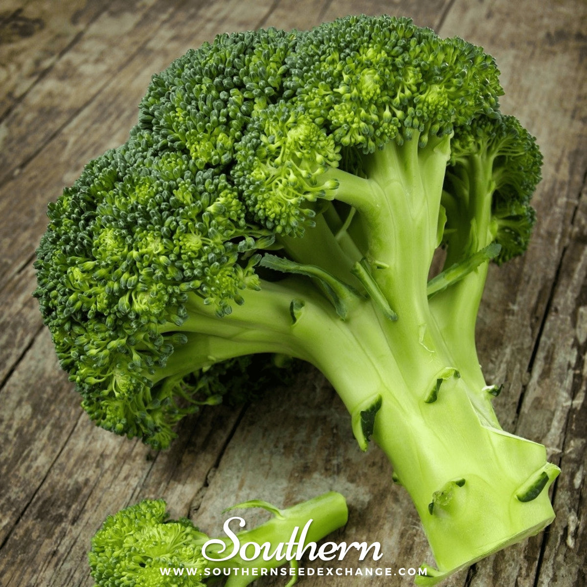 Waltham 29 Broccoli – 100 Seeds - Garden Gets