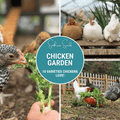 Chicken Treats Seed Collection – 10 Varieties