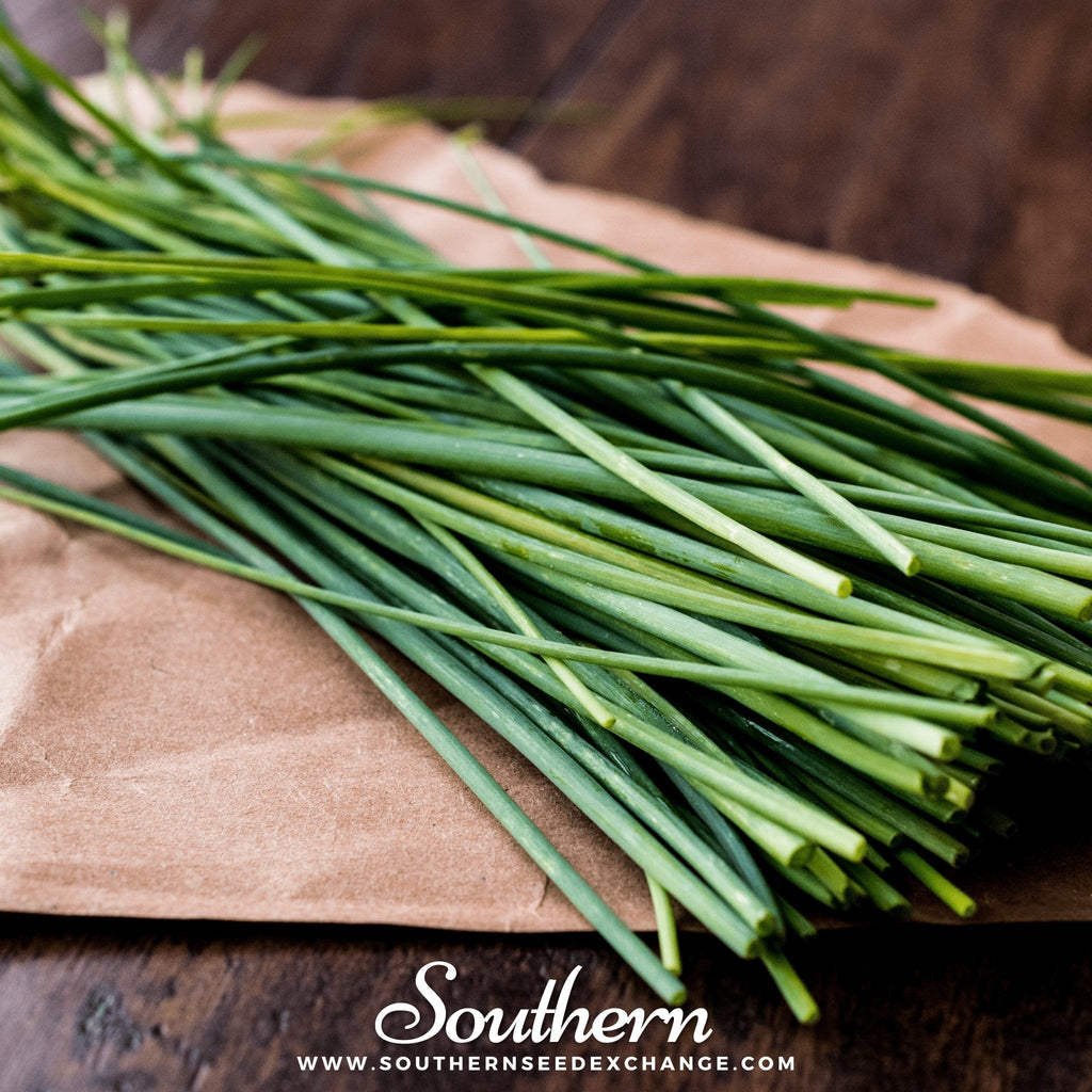 Chives – 100 Seeds - Garden Gets