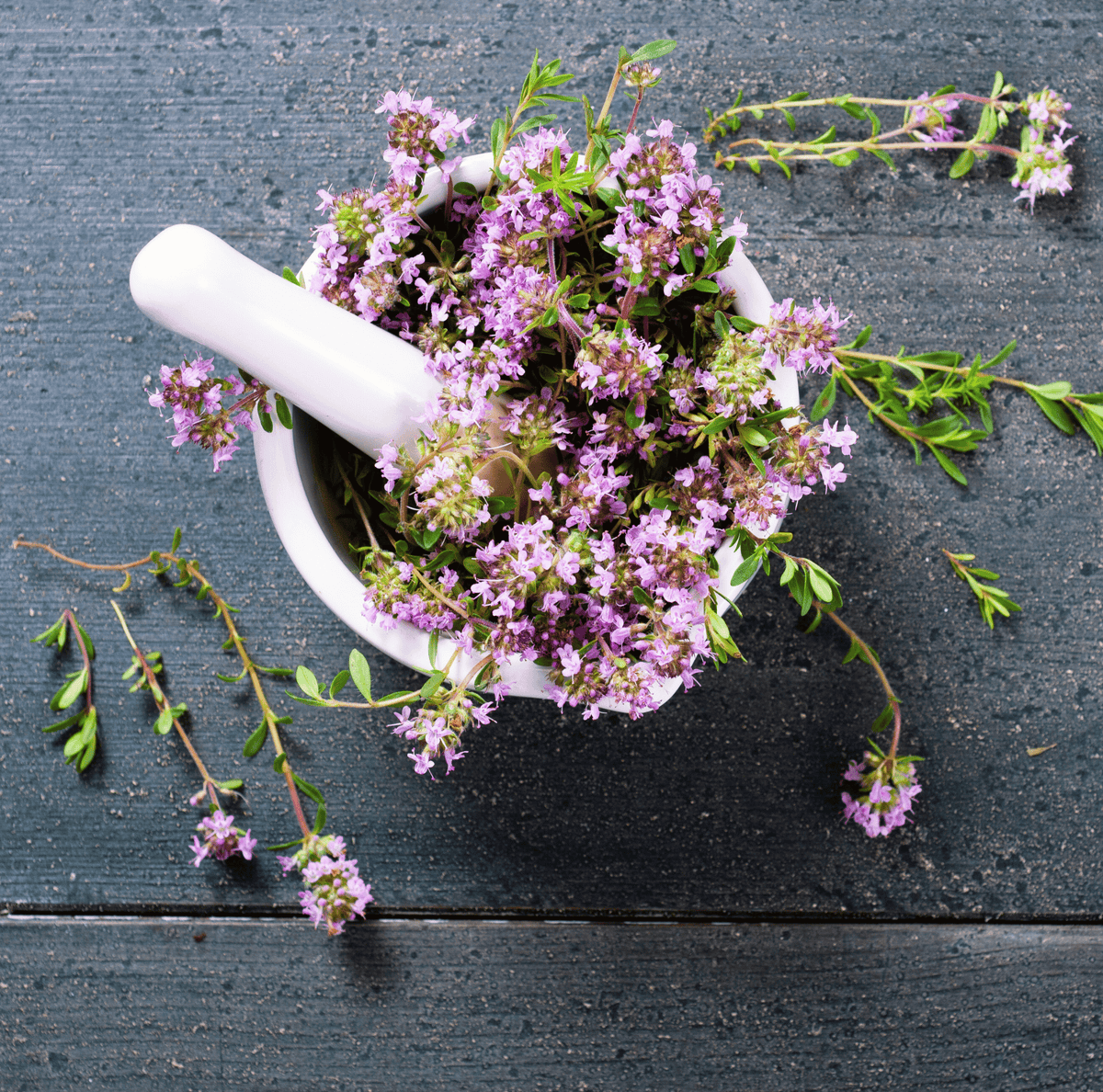 Creeping Thyme – 250 Seeds - Garden Gets
