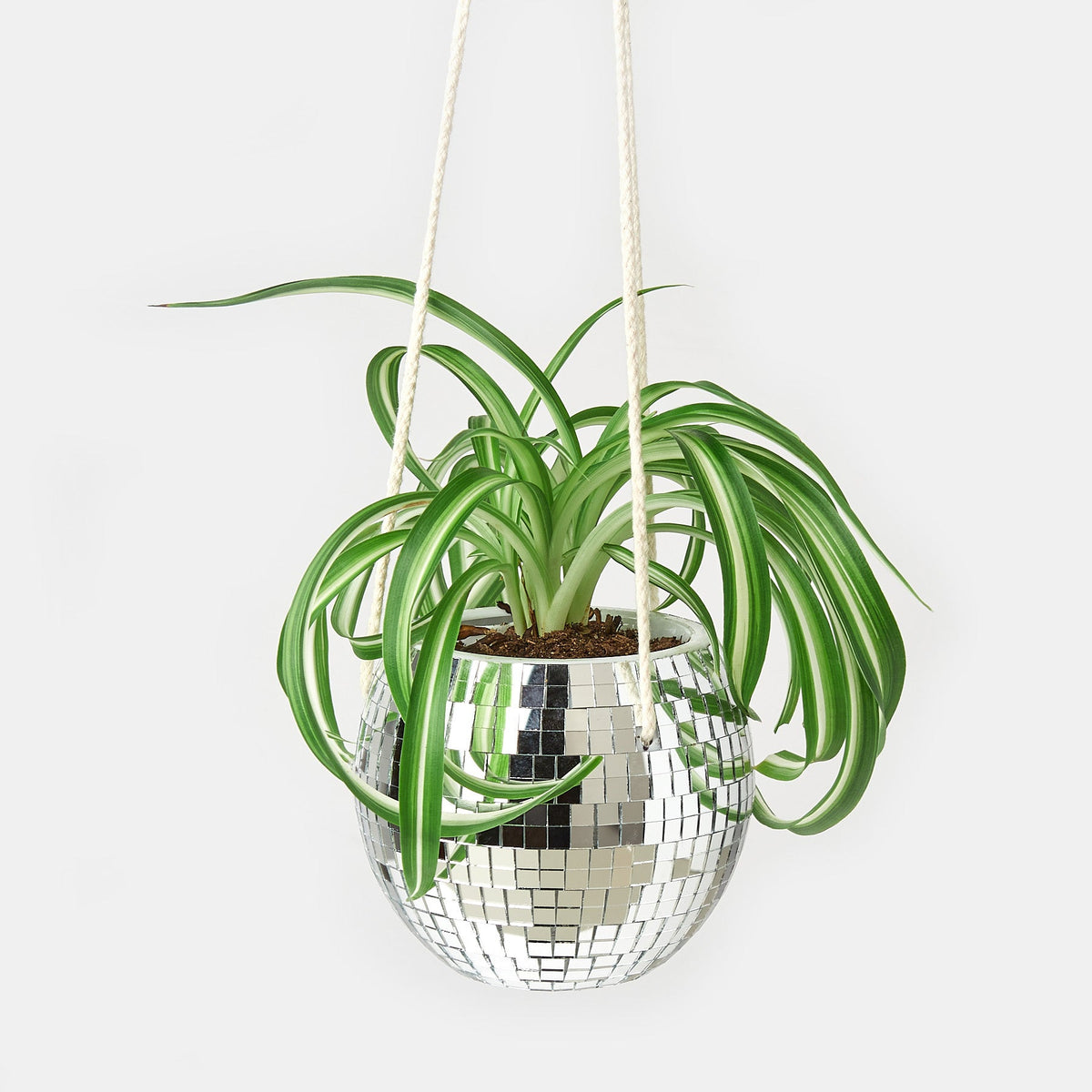 Disco Ball Hanging Planters - Garden Gets