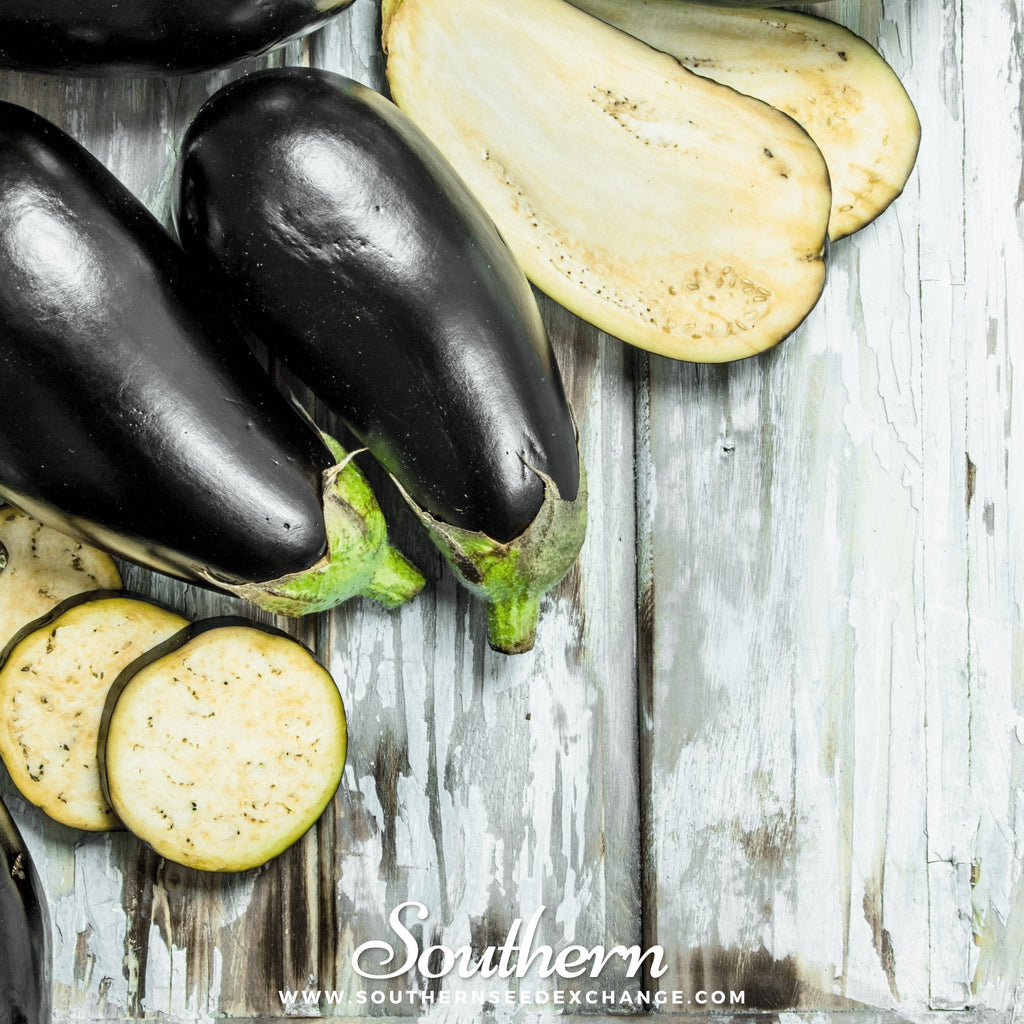 Black Beauty Eggplant – 50 Seeds - Garden Gets