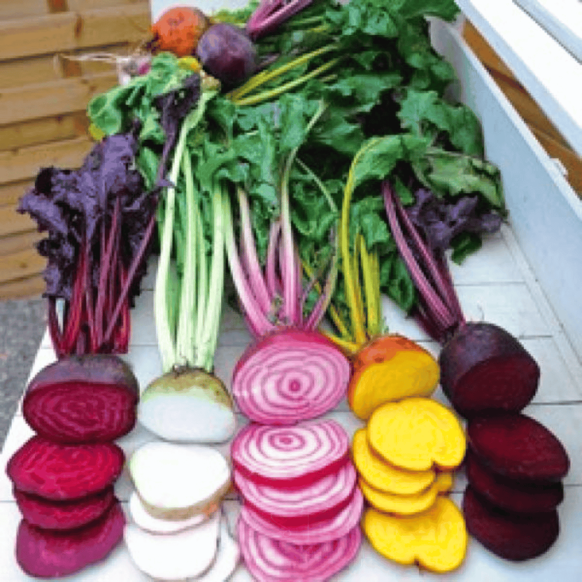 Gourmet Blend Beet – 50 Seeds - Garden Gets