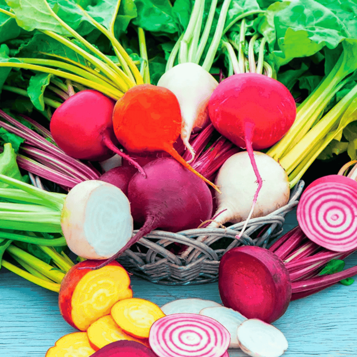 Gourmet Blend Beet – 50 Seeds - Garden Gets