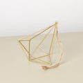 Air Plant Display Hanger - Brass - Garden Gets