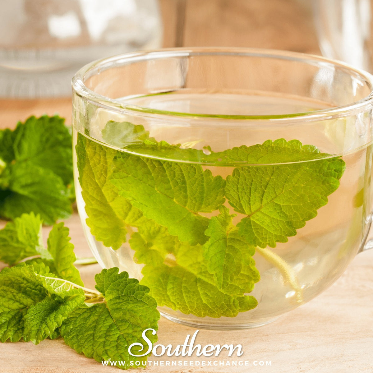 Lemon Balm – 100 Seeds - Garden Gets