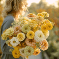 Lemon Meringue Zinnia – 100 Seeds - Garden Gets