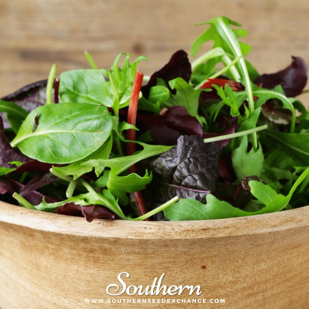 Gourmet Mix Lettuce – 500 Seeds - Garden Gets