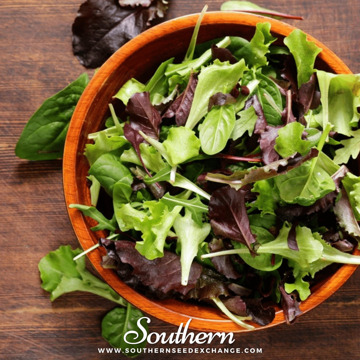 Gourmet Mix Lettuce – 500 Seeds - Garden Gets