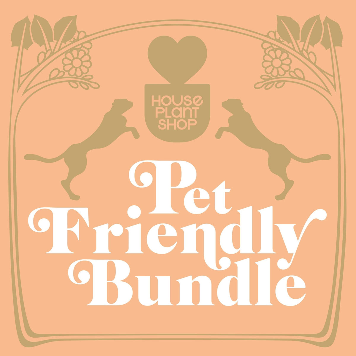 Pet Friendly Variety Bundle - Garden Gets
