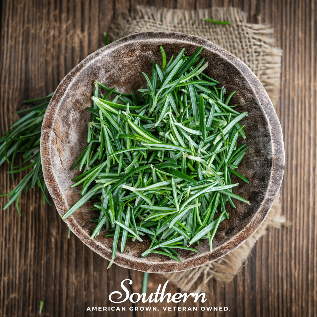 Rosemary – 50 Seeds - Garden Gets