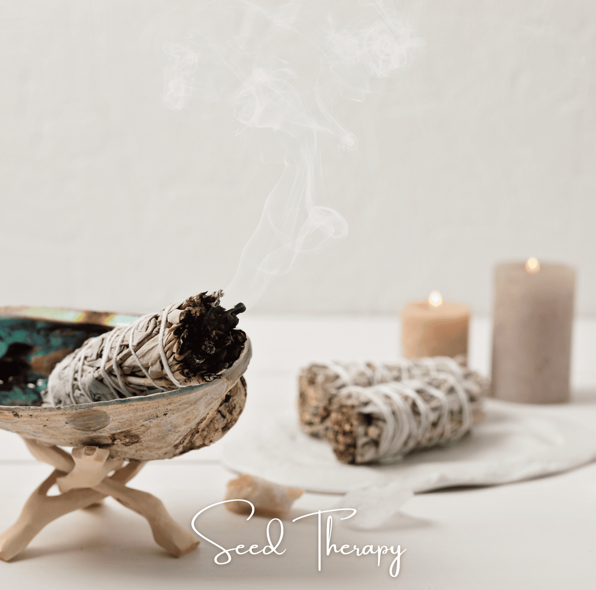 White Sage – 50 Seeds - Garden Gets