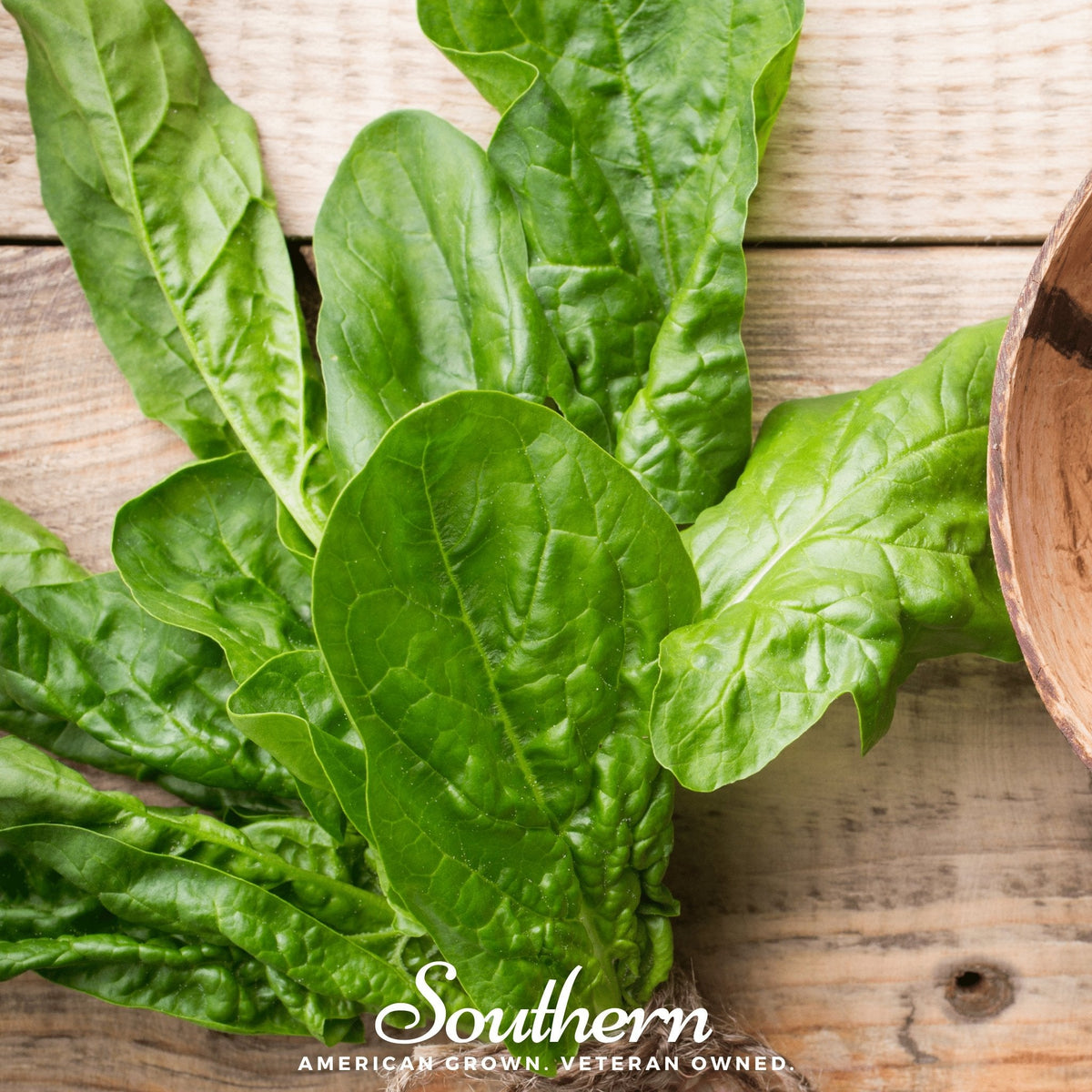 Giant Noble Spinach – 150 Seeds - Garden Gets