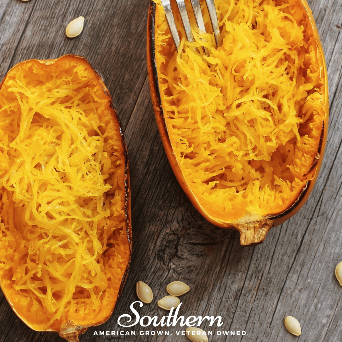 Spaghetti Winter Squash – 20 Seeds - Garden Gets