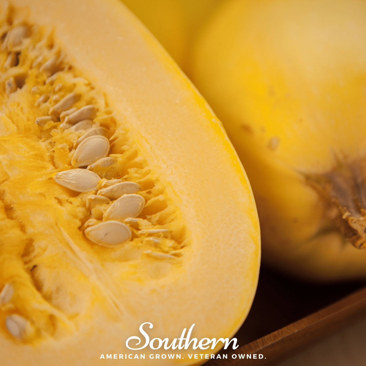 Spaghetti Winter Squash – 20 Seeds - Garden Gets