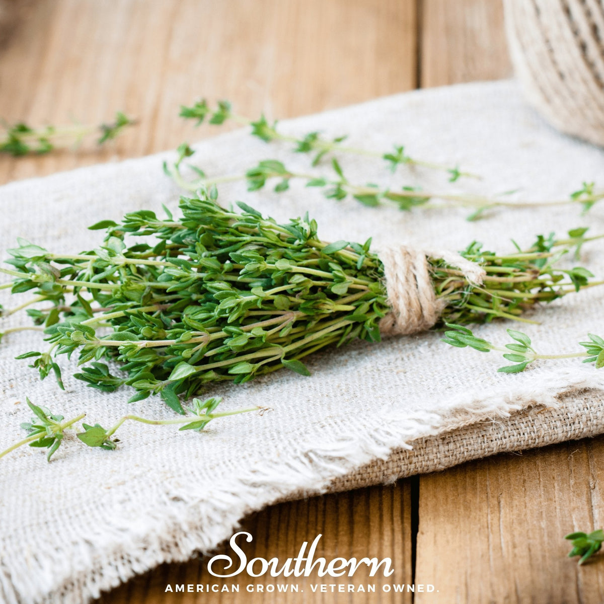 Common Thyme – 250 Seeds - Garden Gets