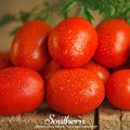 Roma VF Tomato – 50 Seeds - Garden Gets