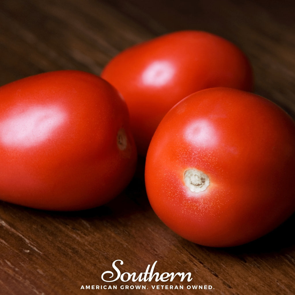 Roma VF Tomato – 50 Seeds - Garden Gets