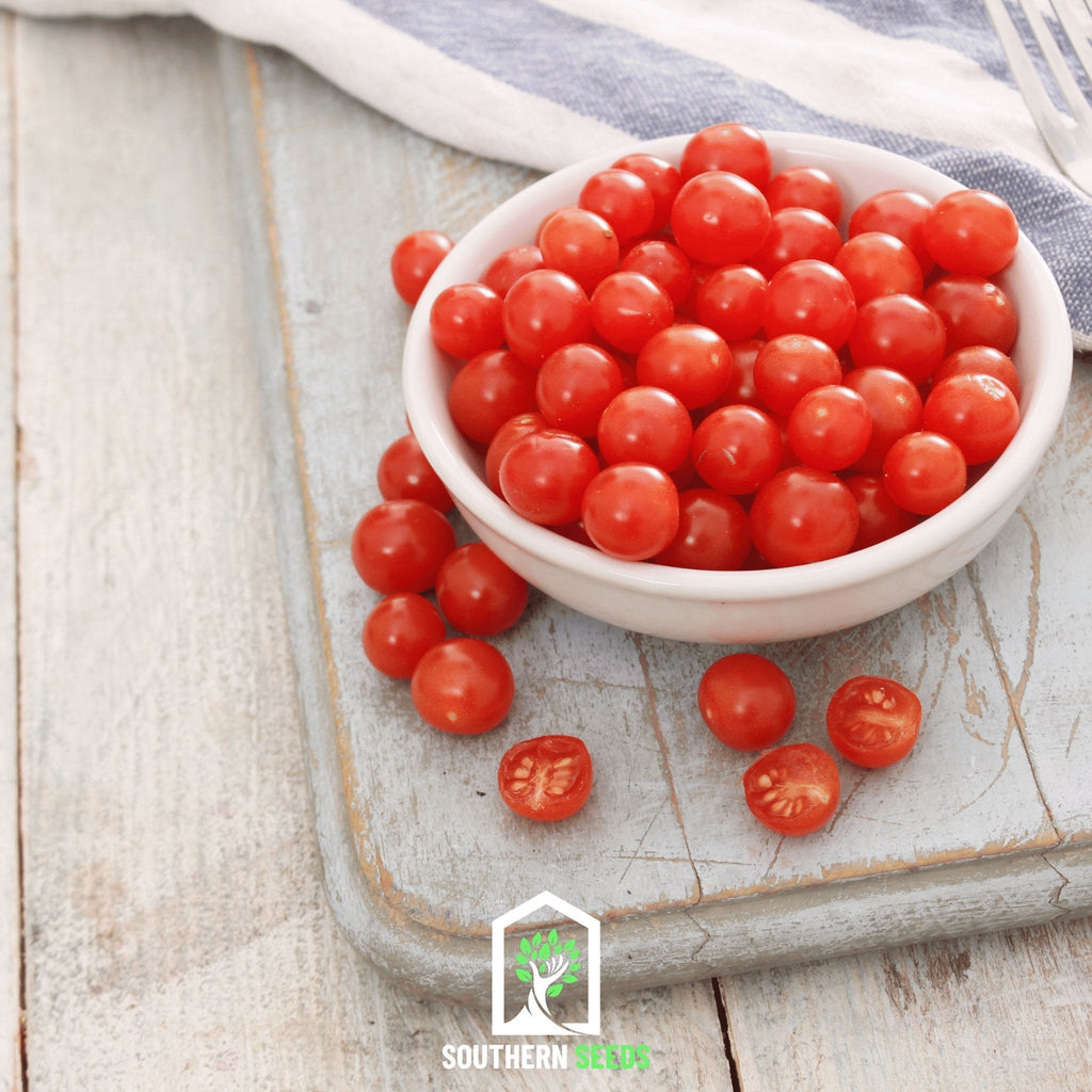 World's Smallest Tomato – Tomberry – 25 Seeds - Garden Gets