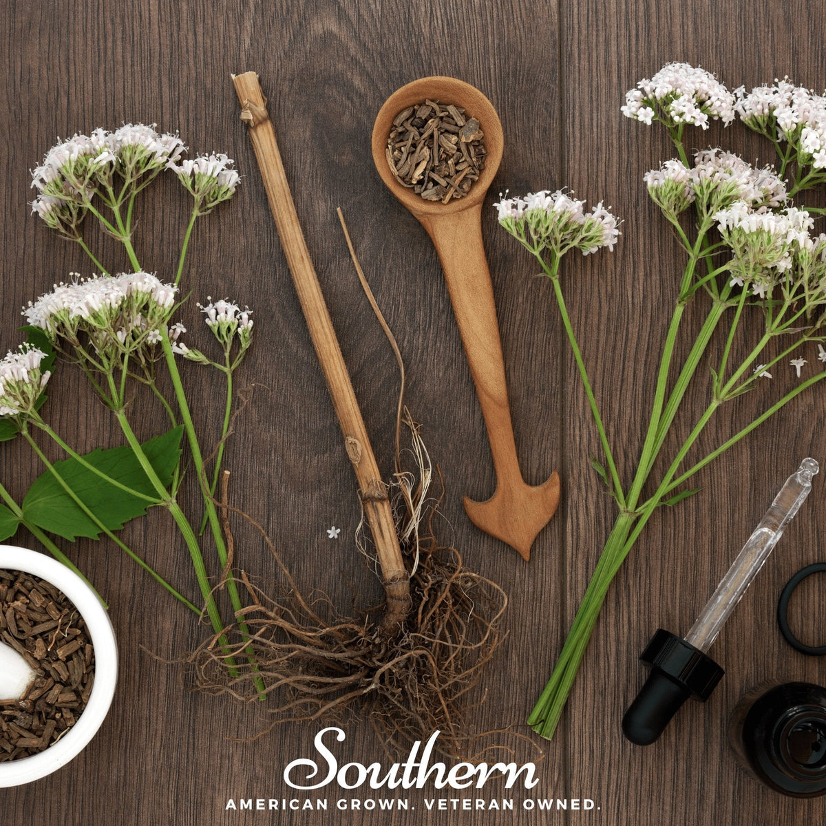 Valerian – 100 Seeds - Garden Gets