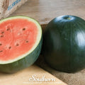 Sugar Baby Watermelon – 25 Seeds - Garden Gets