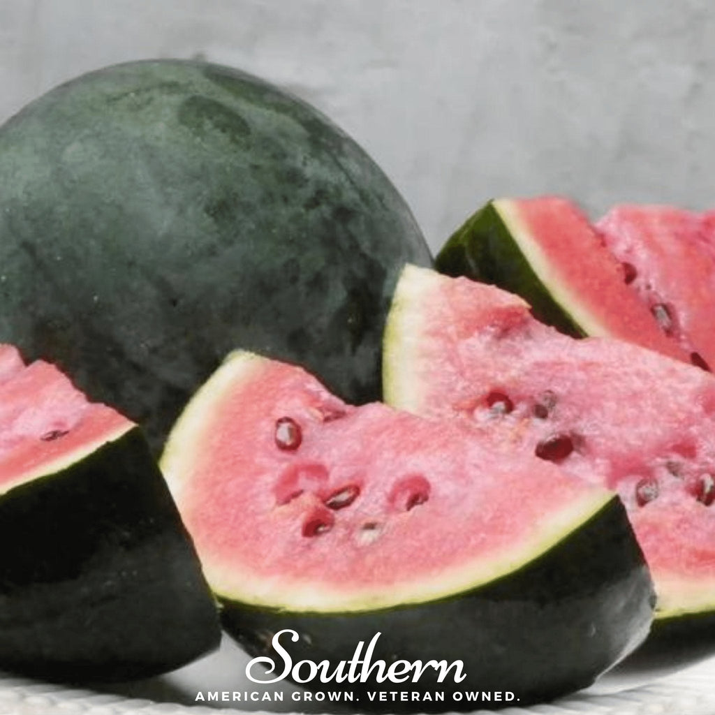 Sugar Baby Watermelon – 25 Seeds - Garden Gets