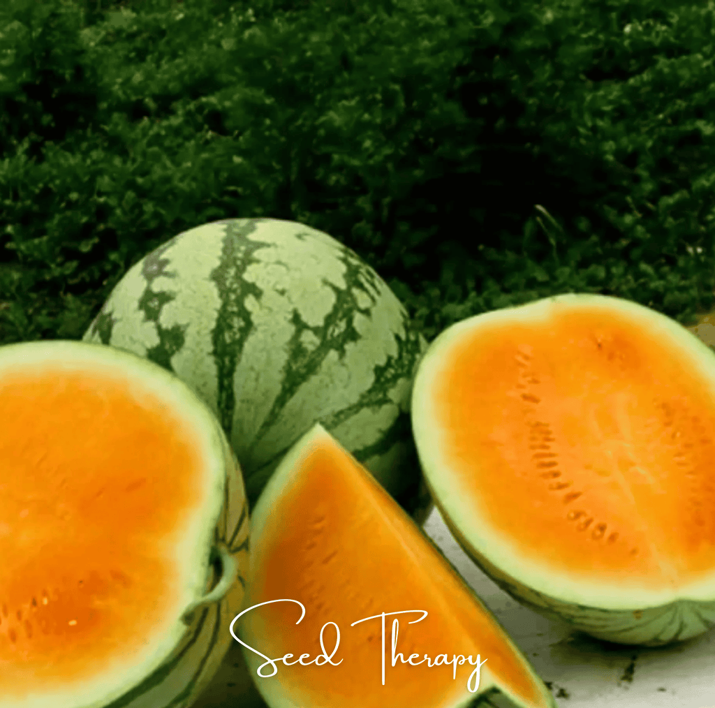 Tendersweet Orange Watermelon – 25 Seeds - Garden Gets