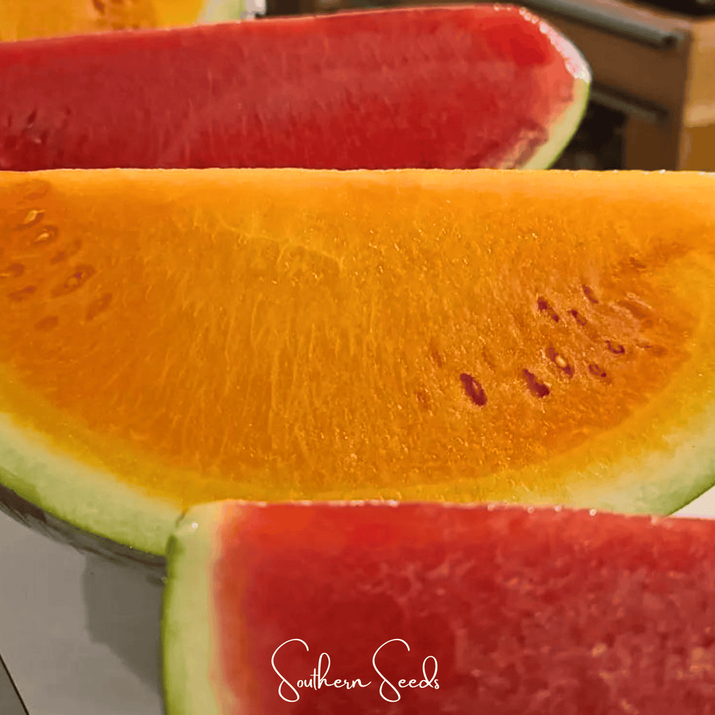 Tendersweet Orange Watermelon – 25 Seeds - Garden Gets